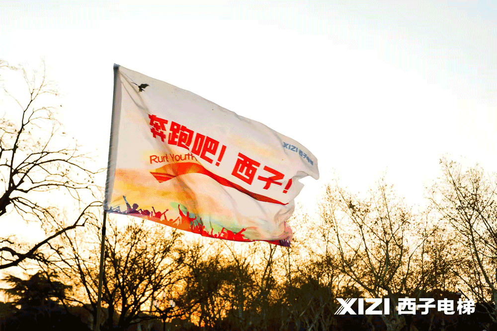 17400418846462911VLy.gif gif1.gif