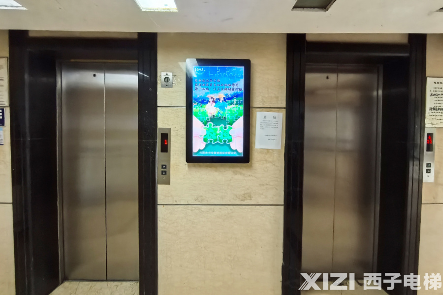 1763008923878248WnEf.jpg 7.jpg